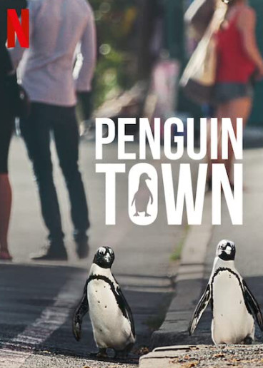 Penguin Town Season 1 (2021)  - Penguin Town Season 1 (2021) เพนกวิน ทาวน์