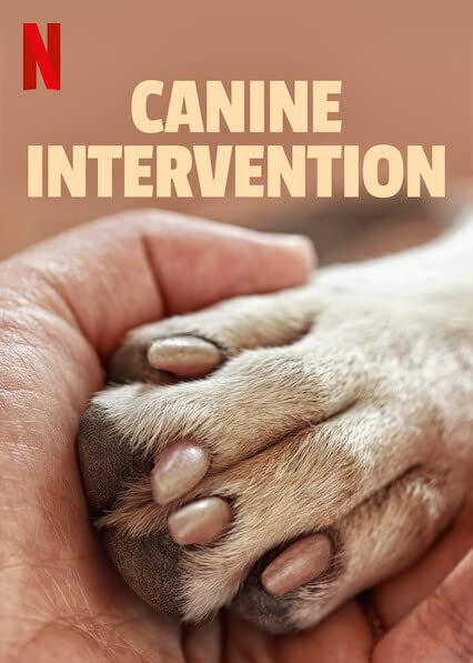 Canine Intervention (2021) -n- - CALI K9 (2021) สุนัขบำบัด