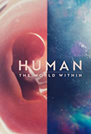 Human The World Within Season 1 (2021)  - Human The World Within Season 1 (2021) เนื้อในมนุษย์
