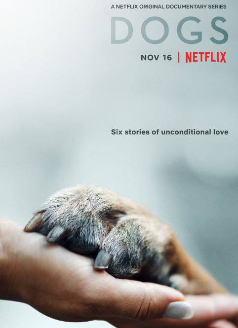 Dogs Season 1 (2018) -n- - Dogs Season 1 (2018) เพื่อนแท้สี่ขา