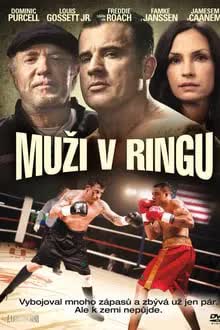 A Fighting Man (2014) เลือดนักชก