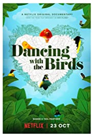 Dancing with the Birds Season 1(2019)  - Dancing with the Birds (2019) นกน้อยเริงระบำรัก