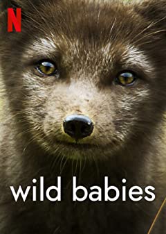 Wild Babies Season 1 (2022) - Wild Babies Season 1 (2022) เกิดในป่า