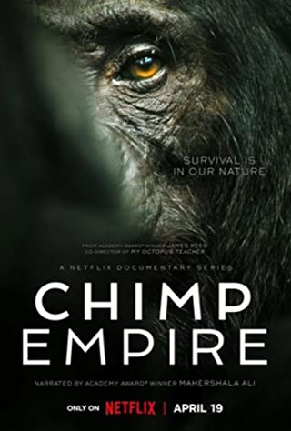 Chimp Empire Season 1 (2023)  - Chimp Empire Season 1 (2023) อาณาจักรชิมแปนซี
